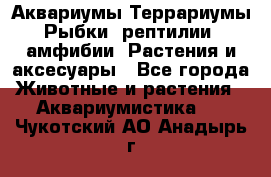 Аквариумы.Террариумы.Рыбки, рептилии, амфибии. Растения и аксесуары - Все города Животные и растения » Аквариумистика   . Чукотский АО,Анадырь г.